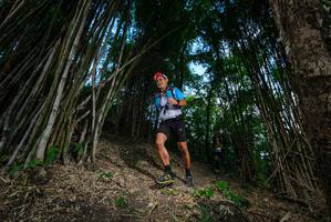 BIB: 
                            <button type="button" onclick="openModal(19395567)" class="btn btn-primary btn-sm float-right btn-popup" data-toggle="modal" data-target=".modal-high-quality">
                        <i class="fas fa-shopping-cart"></i> Add to Cart
                    </button>
                                            <button type="button" onclick="isThisMe(19395567, true)" class="btn btn-success btn-sm float-right btn-popup btn-isme hidden" data-toggle="tooltip" data-placement="bottom" title="นี่คือรูปของคุณใช่ไหม คลิกที่นี่เพื่อเอาเข้าอัลบั้ม">
                        <i class="fas fa-plus"></i> Add to album
                    </button>
                    <button type="button" onclick="isThisMe(19395567, false)" class="btn btn-warning btn-sm float-right btn-popup btn-isnotme hidden">
                        <i class="fas fa-ban"></i> Remove from album
                    </button>